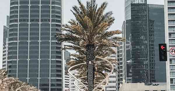 落地能力大数据引领行业未来的利器