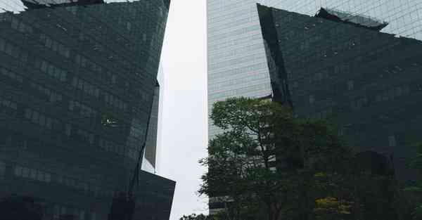 大数据监管的作用（监管大数据应用）