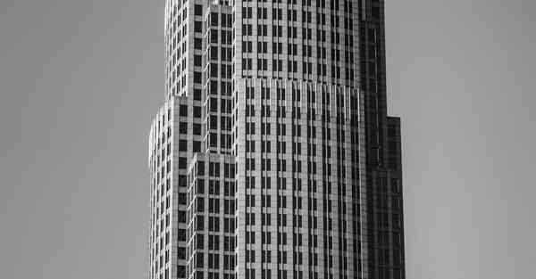 票据业务大数据揭开行业的“秘密花园”