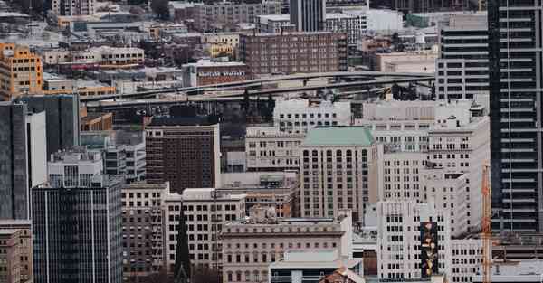 智能工业机器人用电缆智能工业机器人的“神经系统”