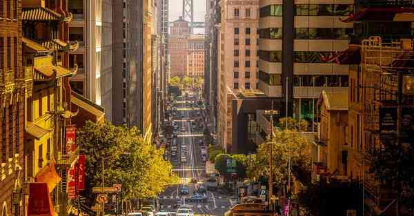 外国语单招大数据的行业文章