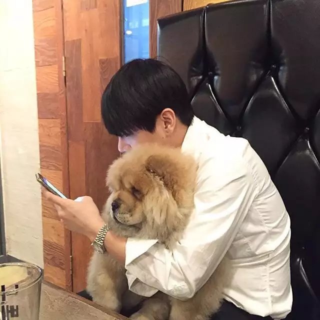 连华晓鸿