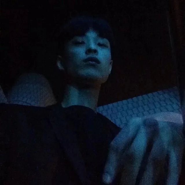 高琴豪浩