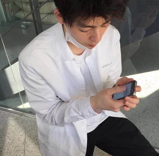傅先雁可
