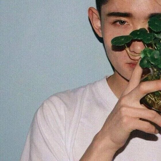 容琪灵晓