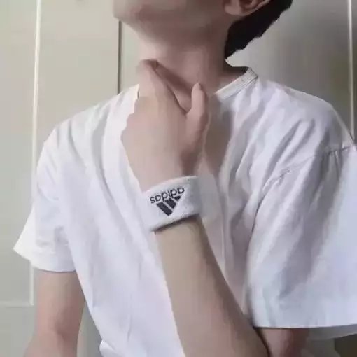 温芬丹荷